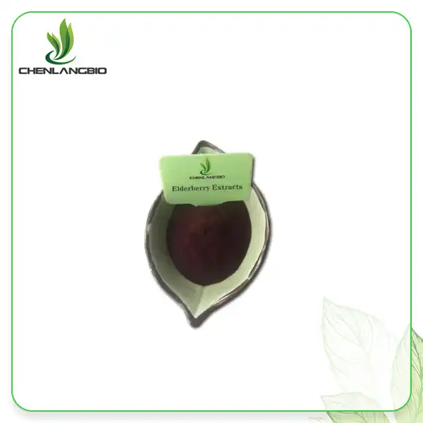 Elderberry Extract Powder